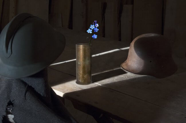 Ad Asiago mette radici il Fiore della Memoria: un simbolo perenne per ricordare la Grande Guerra