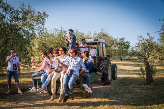 Cantine Aperte 2019 torna in oltre 800 cantine d’Italia l’ultimo weekend di Maggio