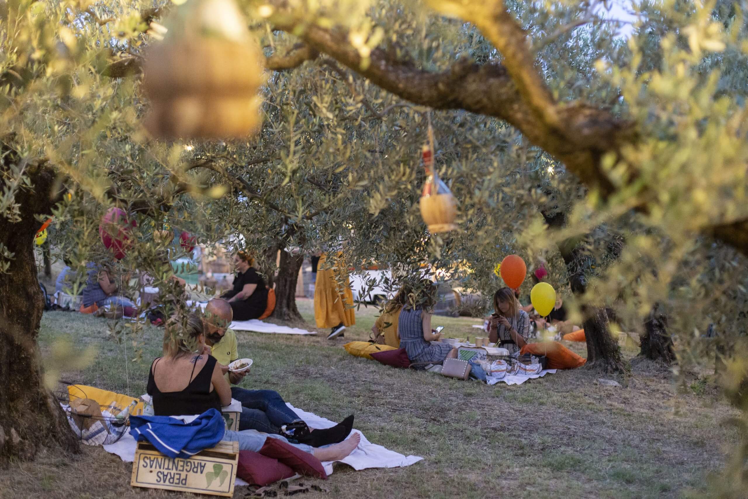 “Chilometro casa”: i mercoledì del picnic Imbrunire. L’Azienda Agricola Terre Giunchi lancia, a Cesena, il progetto filiera cortissima