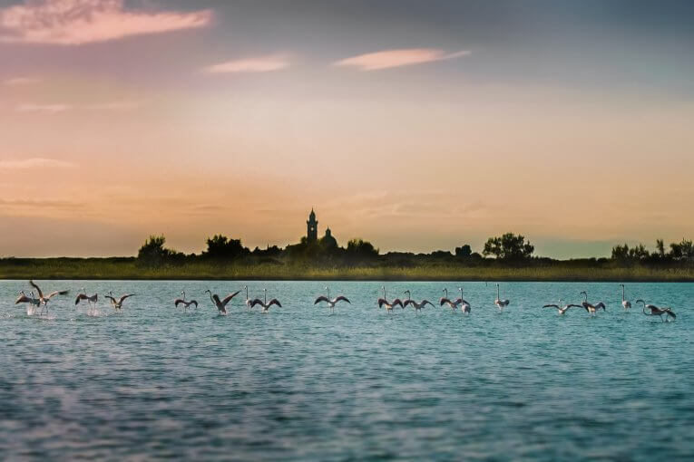 La cultura del mare a Grado.