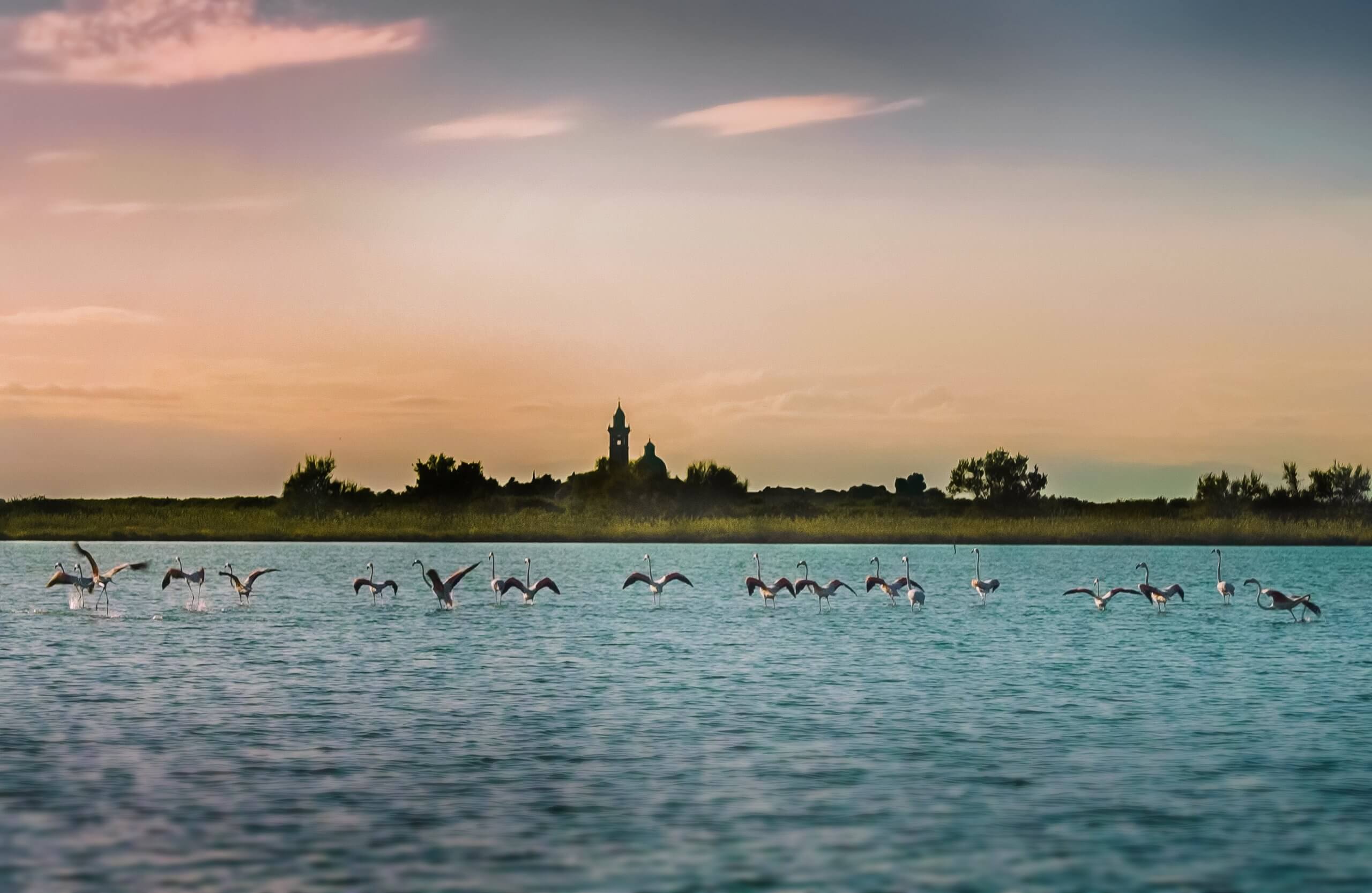 La cultura del mare a Grado.