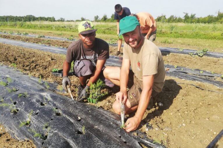 Cia Fvg: contrasto al caporalato nelle filiere agroalimentari