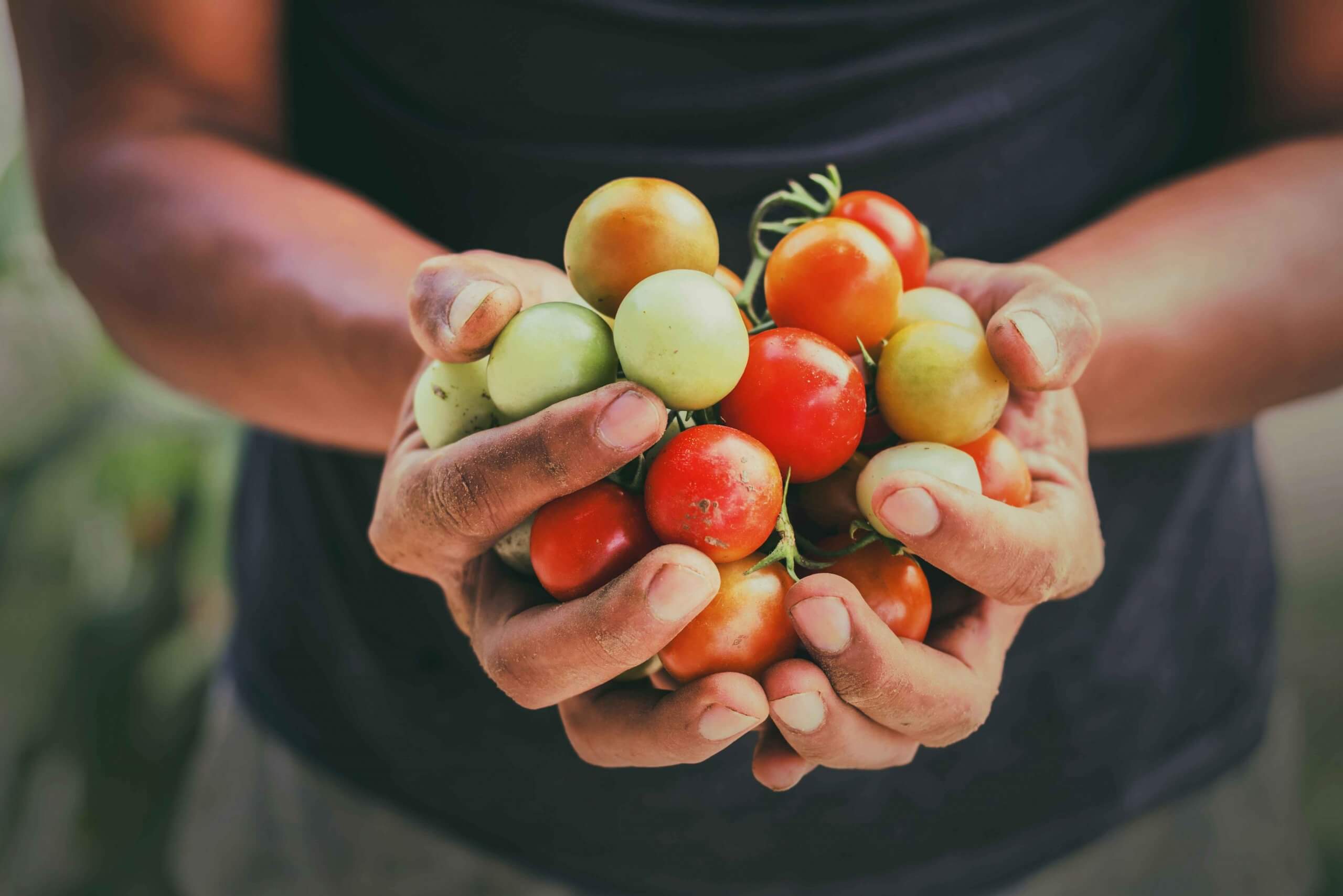 195mln a sostegno agricoltura in ginocchio