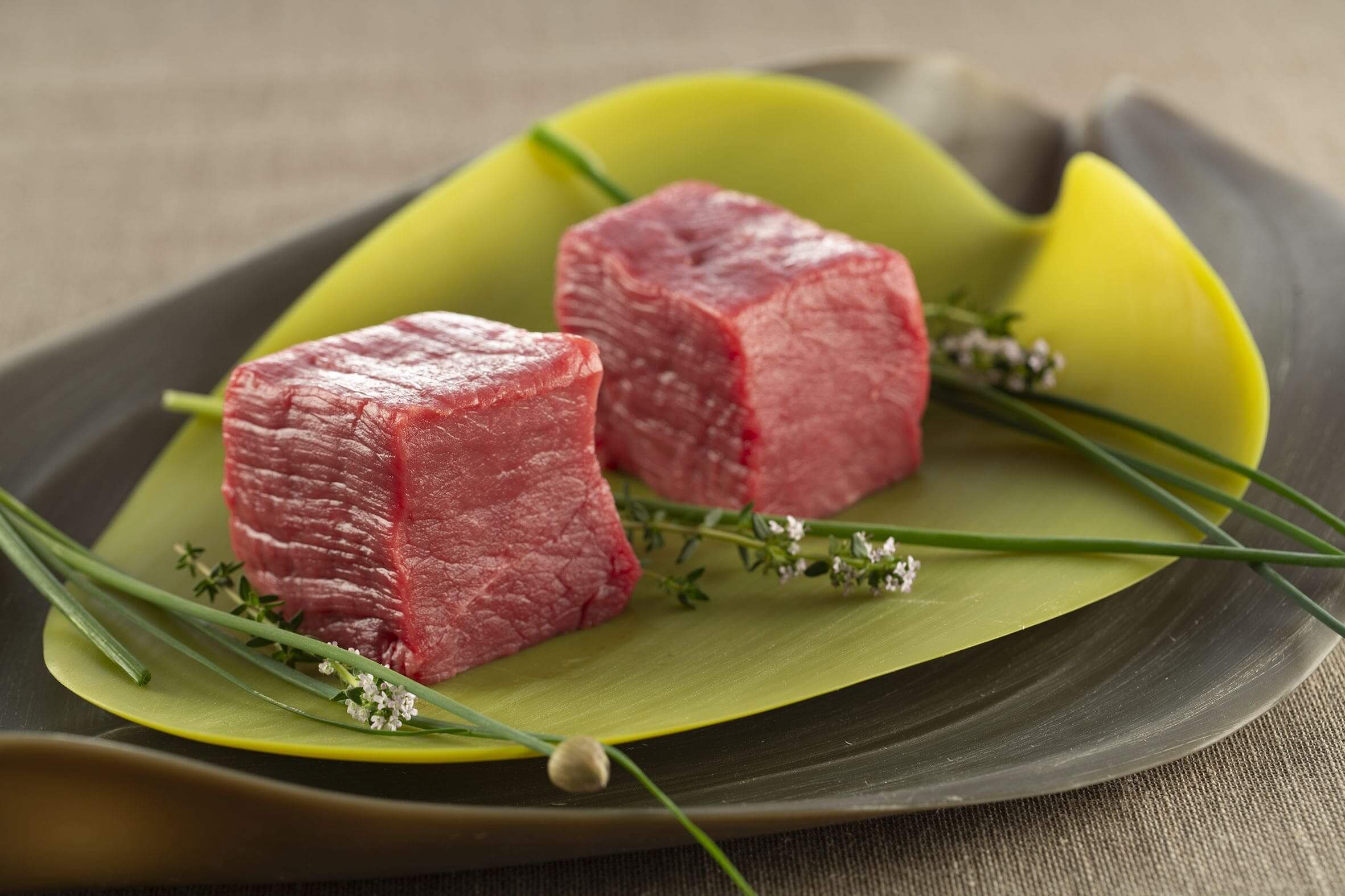 SUMMEAT – La carne nella dieta salutare