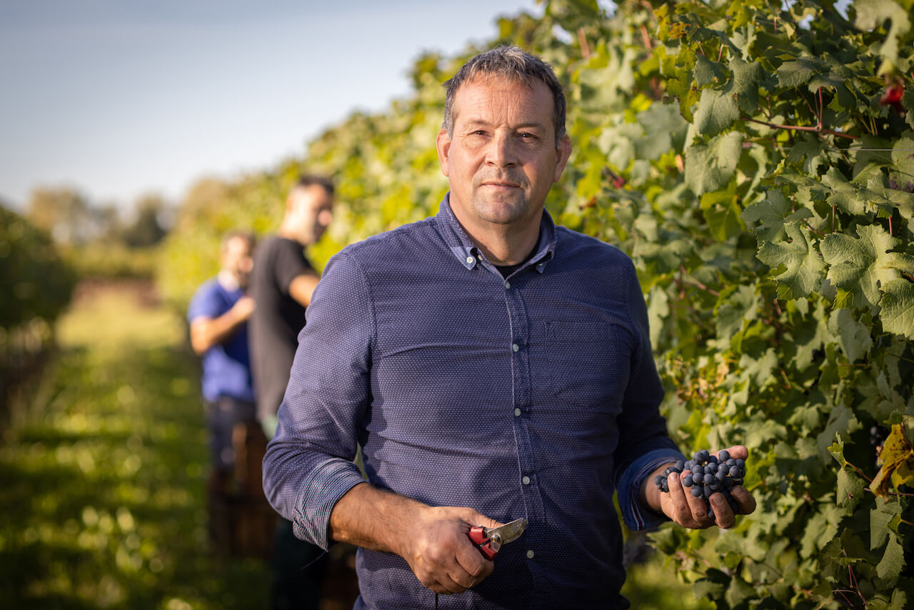 Nasce Terra Sancti Viti, il vino dedicato alla città di San Vito al Tagliamento