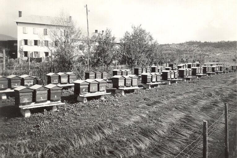 I 100 anni di Rigoni Asiago