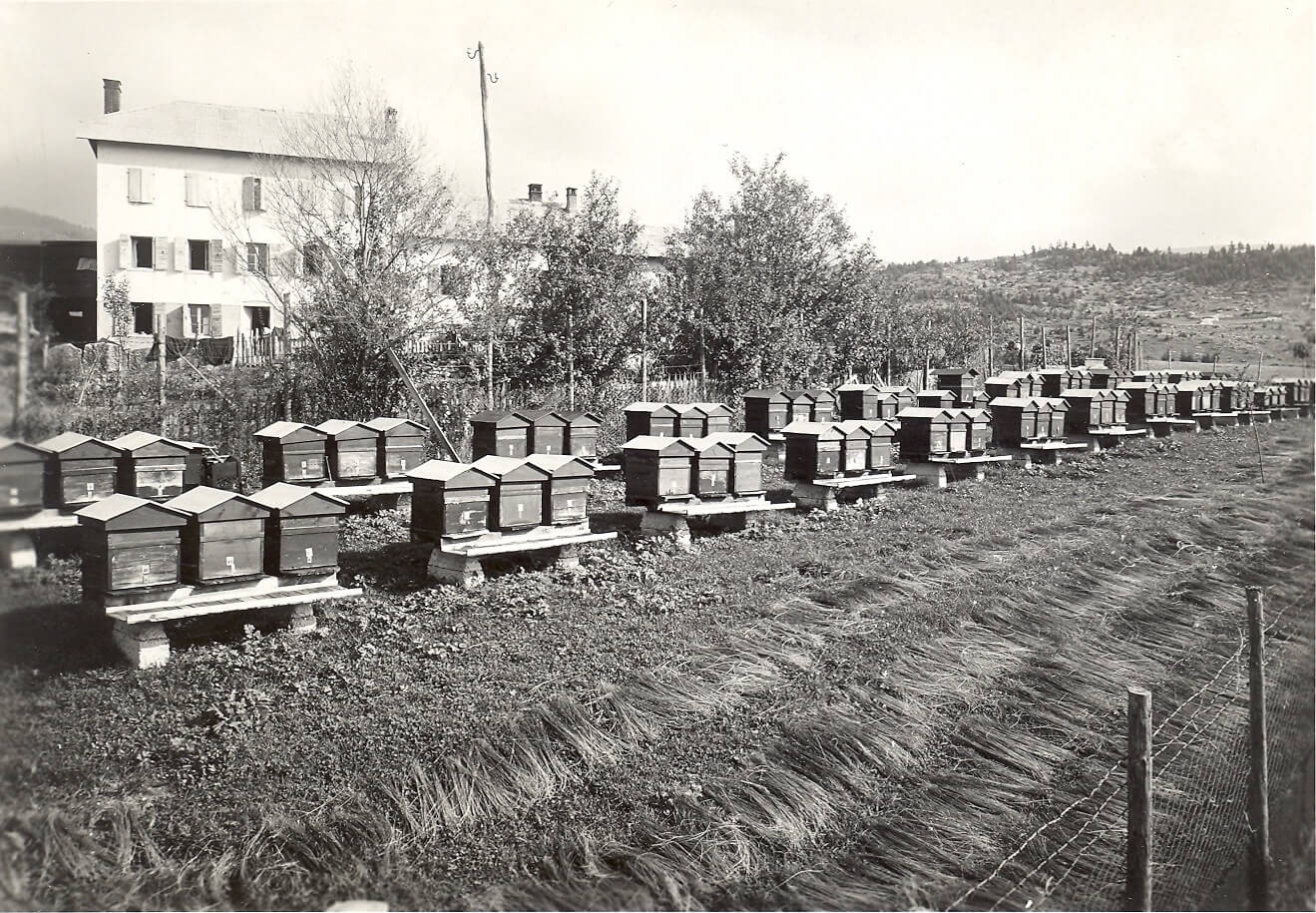 I 100 anni di Rigoni Asiago